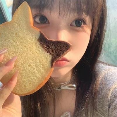 特警云豹