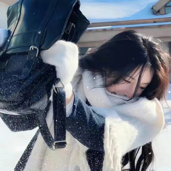 极地情天
