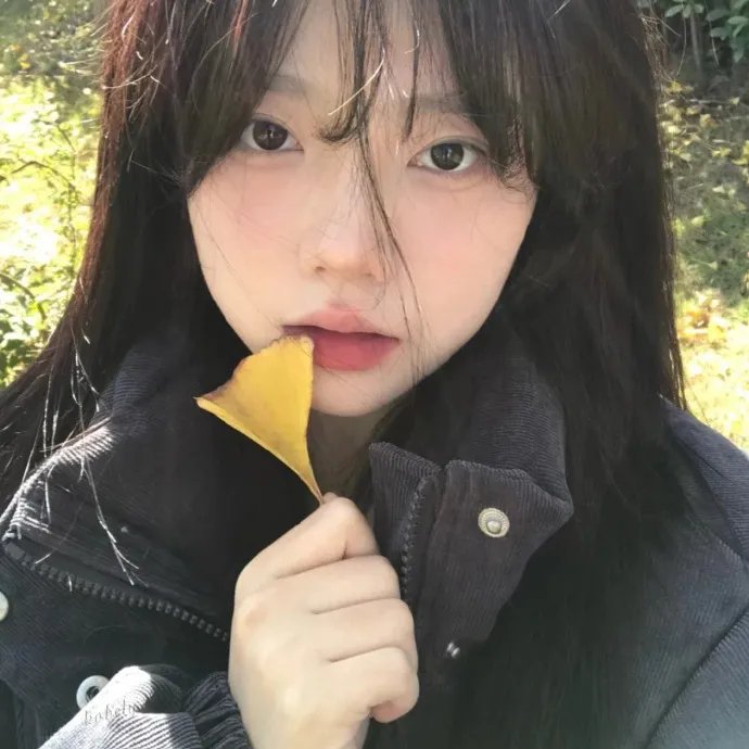 去南方