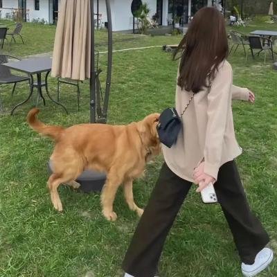 夜生活女王霞姐传奇